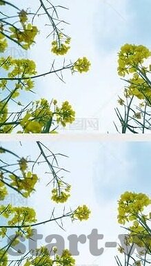 足球即时比分足-足球即时比分，一场数字背后的激情盛宴